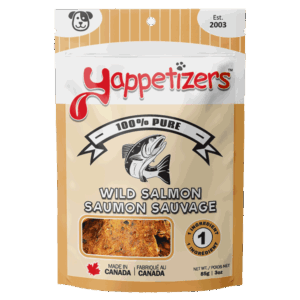 Yappetizers Salmon