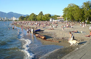 Kits Beach Dog