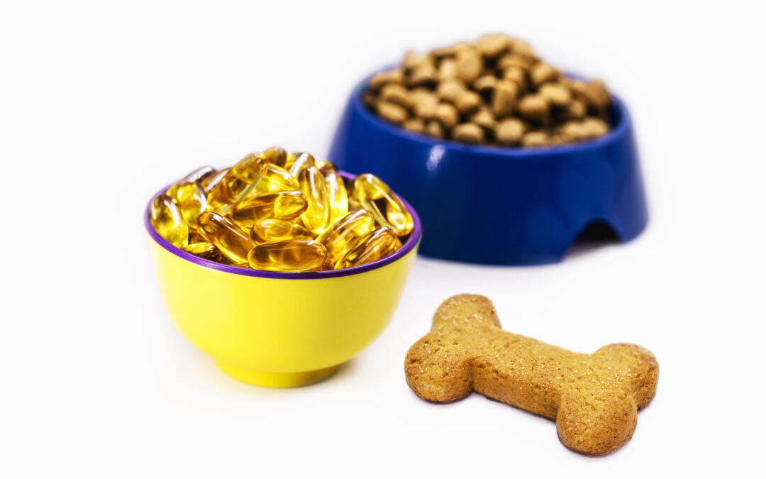 Exploring the Benefits of Omega-3 Fatty Acids in Dog Treats: A Guide to Healthier Pups