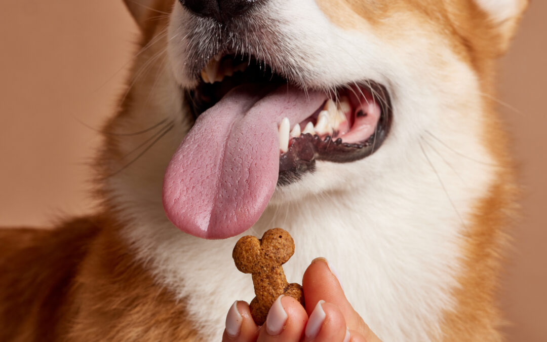 Why 100% Canadian-Made Dog Treats are the Best Choice for Your Pet