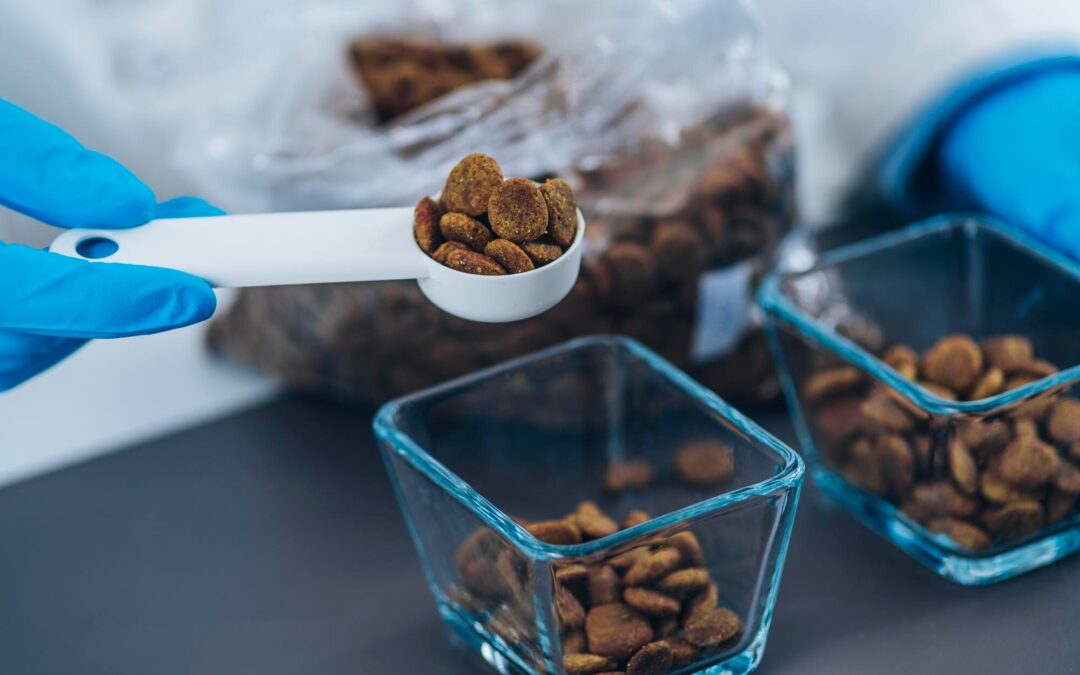 Inside Our CFIA-Certified Facility: The Gold Standard for Pet Treats