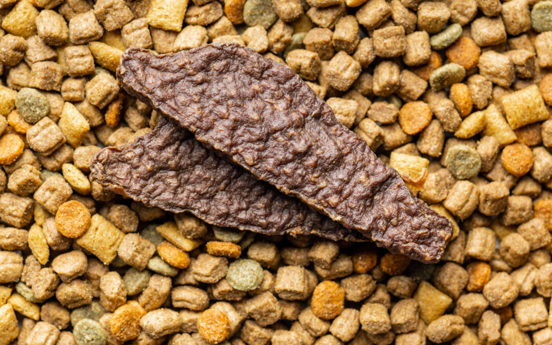 Why Kangaroo is a Game-Changer in Dog Nutrition