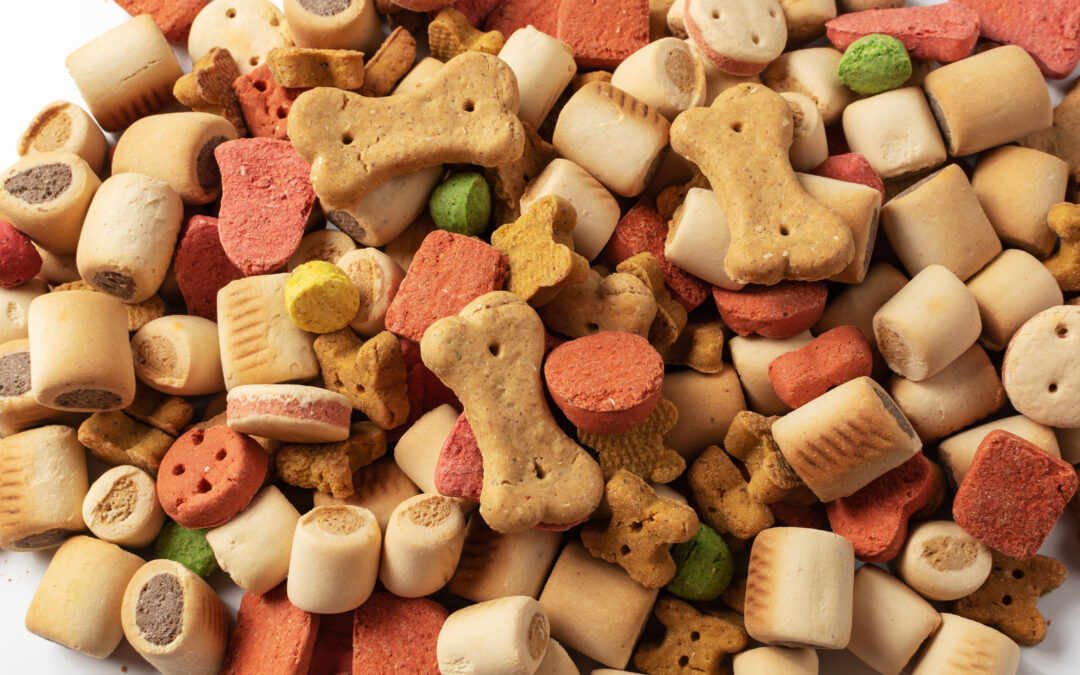 Why Human-Grade Ingredients Matter in Your Dog’s Treats