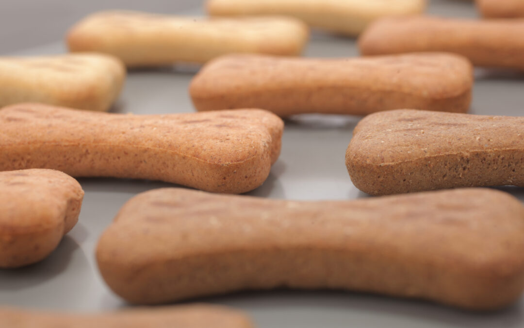 Spotting the Best Hypoallergenic Treats for Your Sensitive Pup